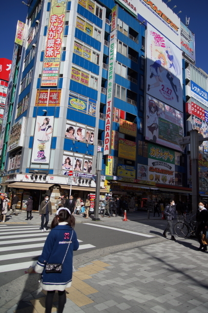 DSC01655-1.JPG