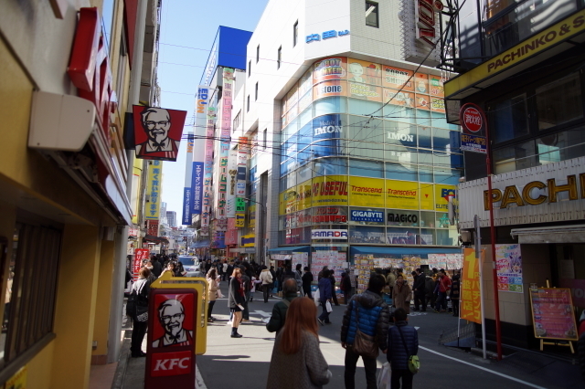 DSC01667-1.JPG