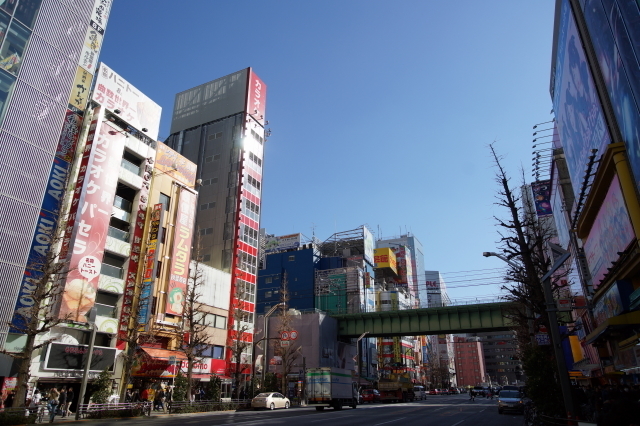 DSC01699-1.JPG