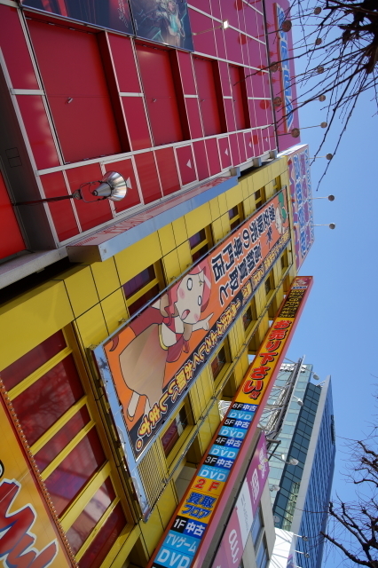 DSC01701-1.JPG