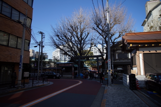 DSC01736-1.JPG