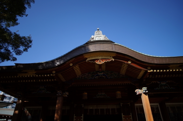 DSC01740-1.JPG