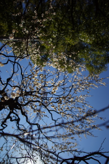 DSC01742-1.JPG