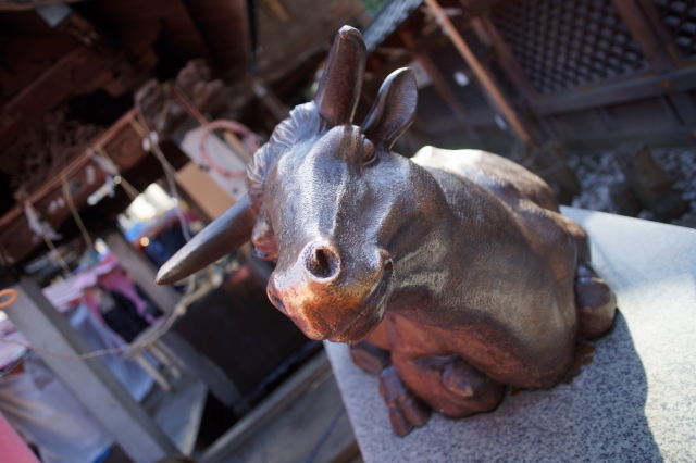 DSC01761-1.JPG