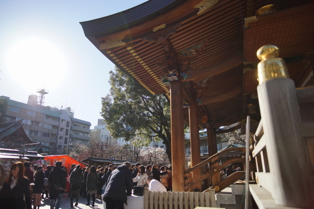DSC01780-1.JPG