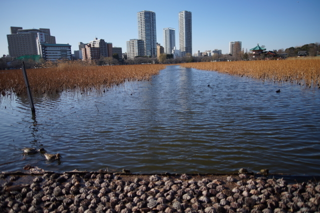 DSC01795-1.JPG