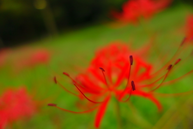 DSC01948-1-.JPG