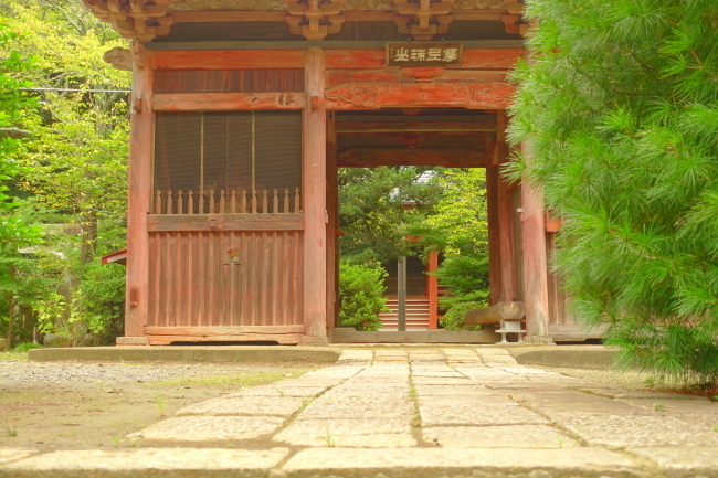 DSC01966-1-.JPG
