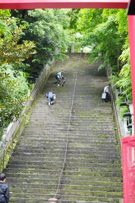 DSC04262.JPG