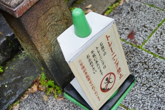 DSC04264.JPG