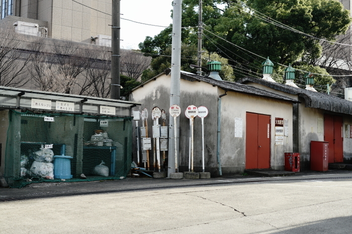 DSC05050.JPG
