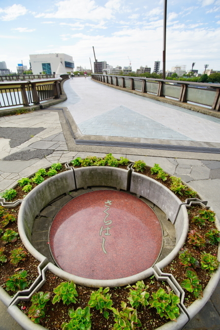 DSC06770-1.JPG