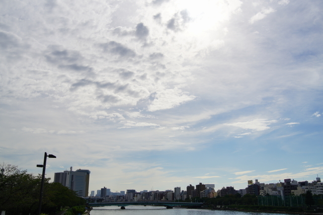 DSC06772-1.JPG