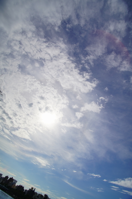 DSC06776-1.JPG