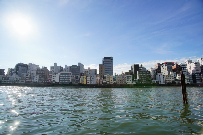 DSC06879-1.JPG