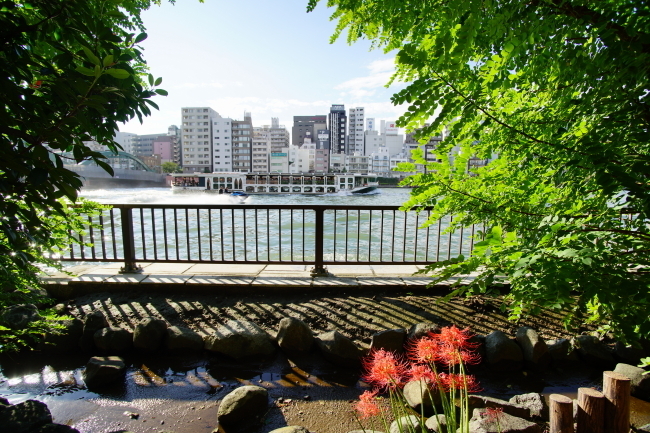 DSC06901-1.JPG
