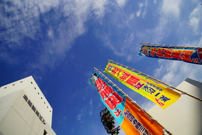 DSC06956-1.JPG