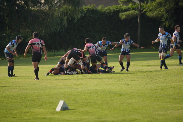 DSC08070-1.JPG