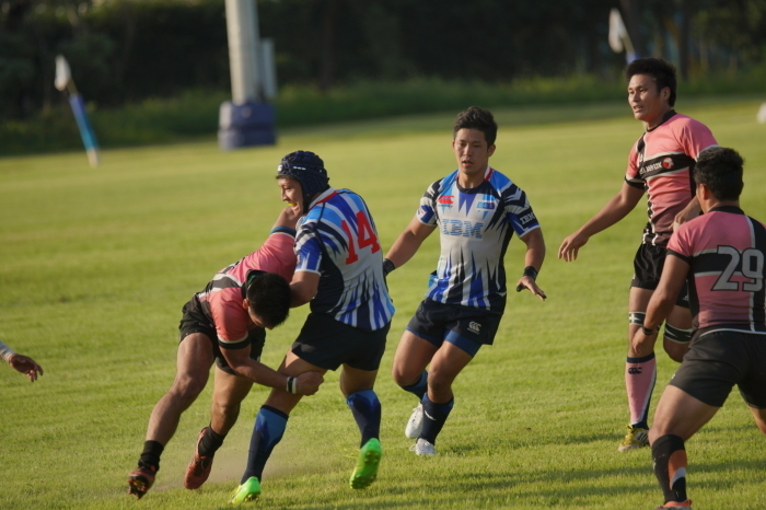 DSC08273-1.JPG