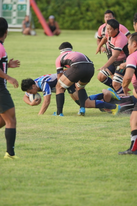 DSC08359-1.JPG